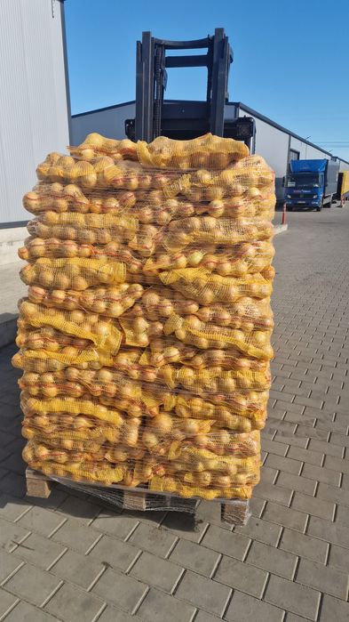 Ceapa import Sac 5kg