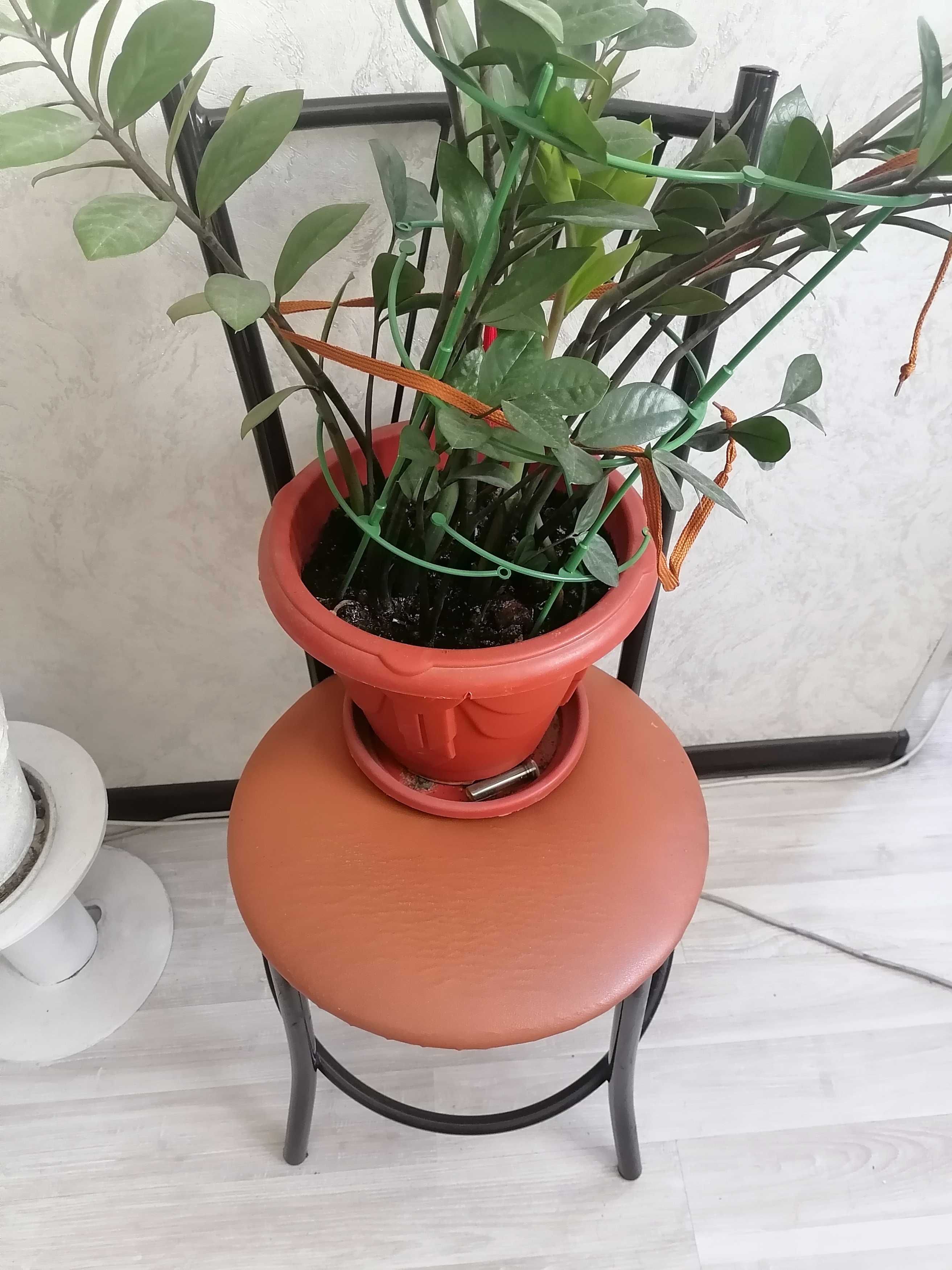 Кухонные стулья мебель
