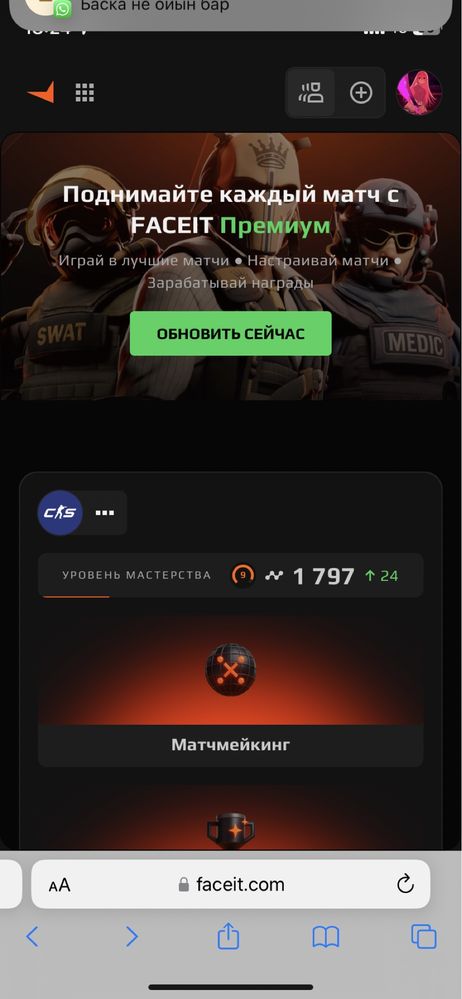 cs 2 prime + 9 lvl faceit