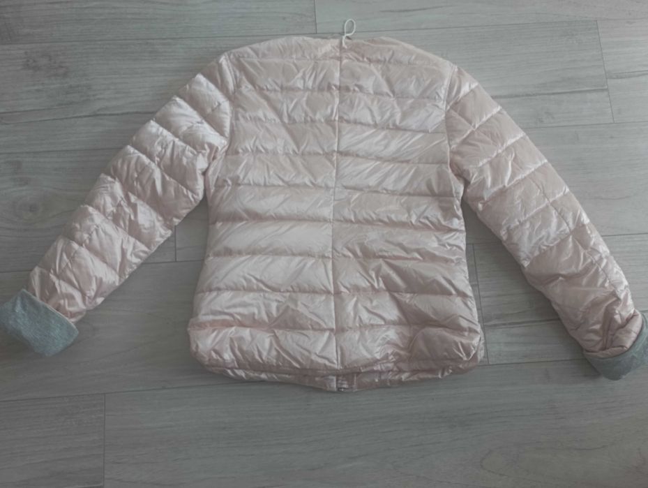 Марково яке пух ,Gustav