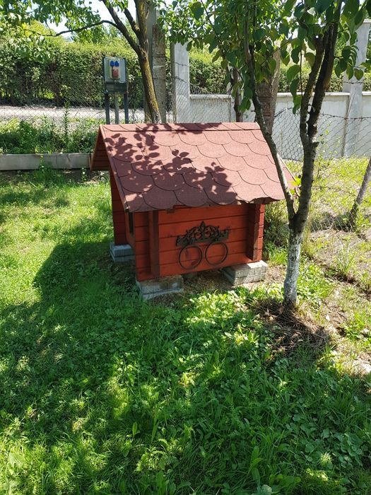 Vand Casută adăpost caine