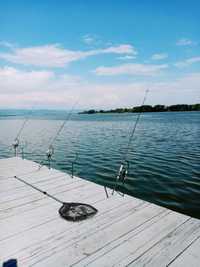 Pescuit si relaxare la Dunare, Sat de Vacanta Divici, Bazias