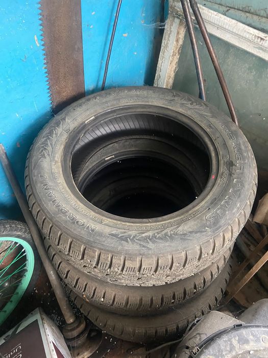 Зимний донгелектер