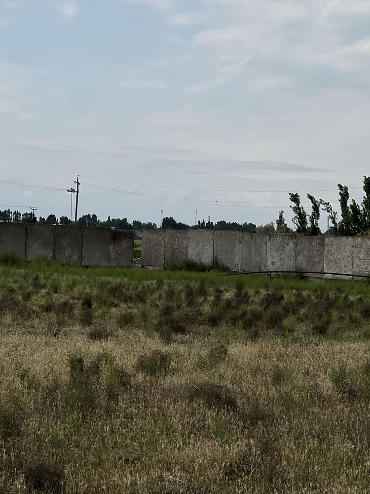 Продам ферма на 1 гектаре земли в Бекабадском районе.