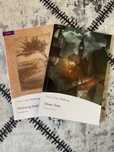 Wuthering Heights, Oliver Twist