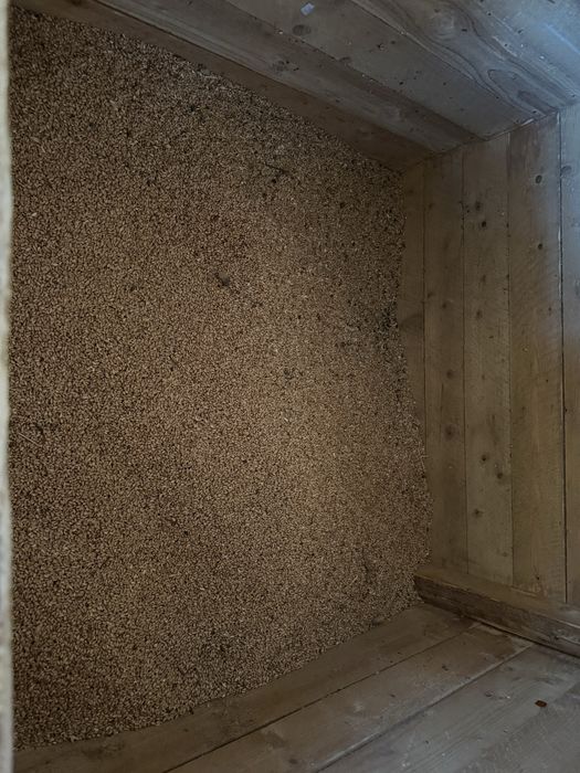 Grau de toamna glosa c1