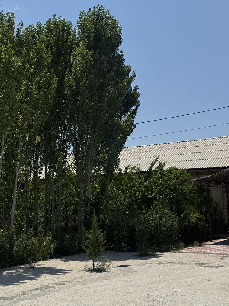 Жай сатылады Боз ауыл