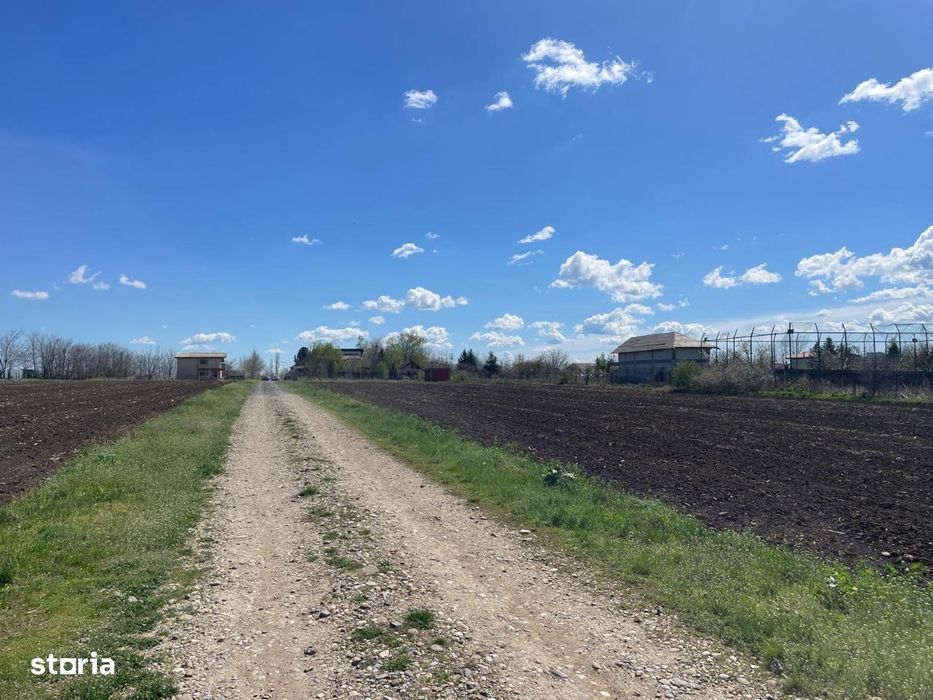Darvari - Fundulea, vanzare loturi teren