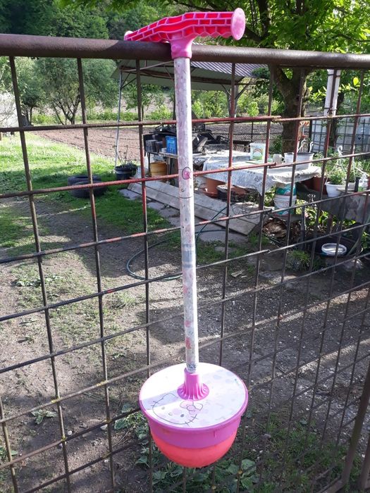 Minge săltăreață noriel