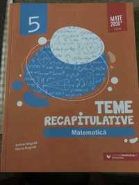 Matematica clasa 5-a Teme recapitulative matematica
