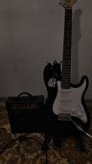 Электрогитара-Stratocaster.Terris
Ты покупал за