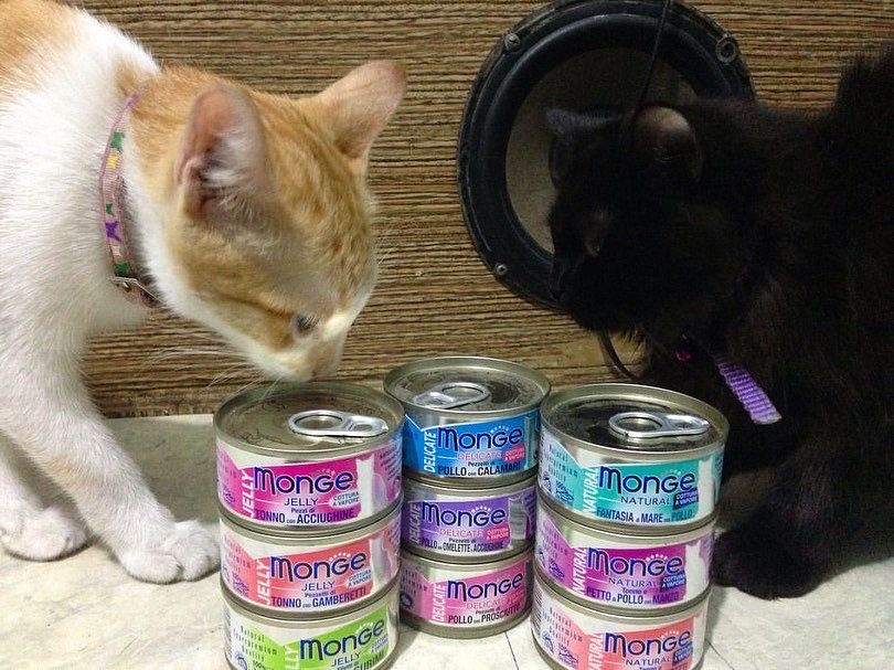 Корм для кошек Monge Natural!