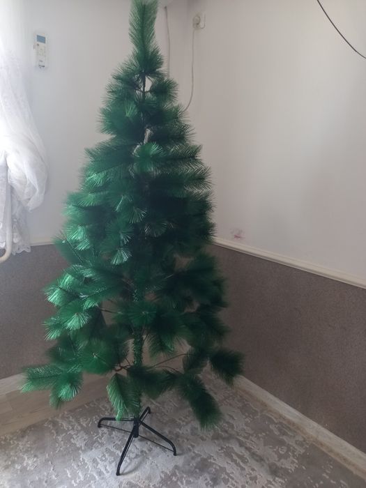 Ёлка сатамын новый