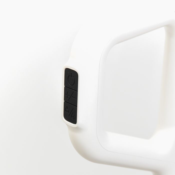 Беспроводной моющий пылесос LeBot