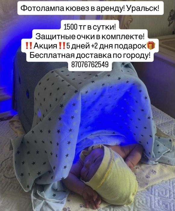 фото лампа кювез в аренду