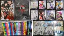 Manga și Light Novel Diverse Volume (limba engleză)