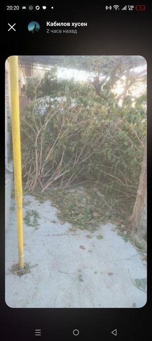 Утин сотилади срочно