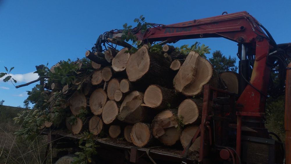 Дърва за огрев дъб,бук,габър и цер
