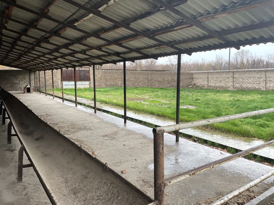 Мол ферма сотилади еки аренда