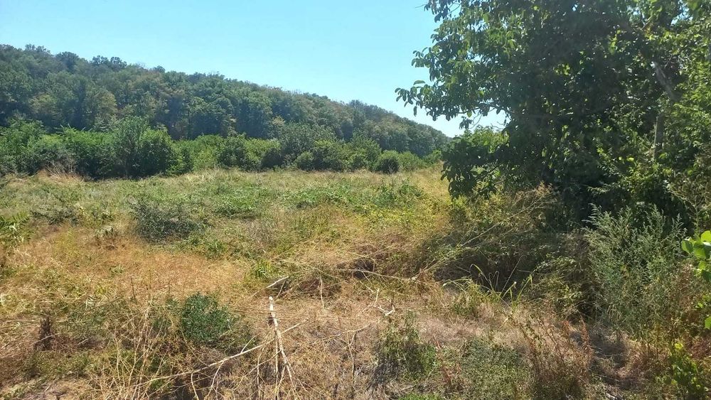 Teren Ganeasa lot 519mp