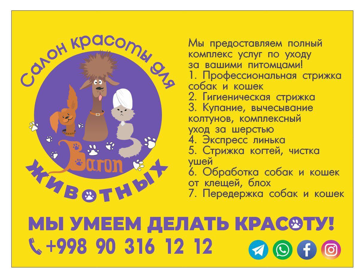 Стрижка кошек и собак