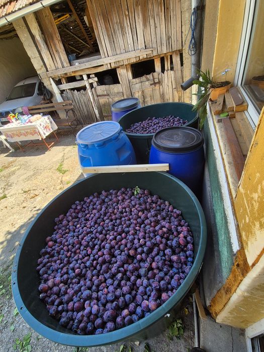 Prune super calitate pentru băuturi spirtoase tradiționale !