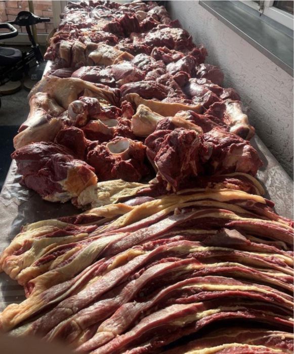 Касапшы мал соямын