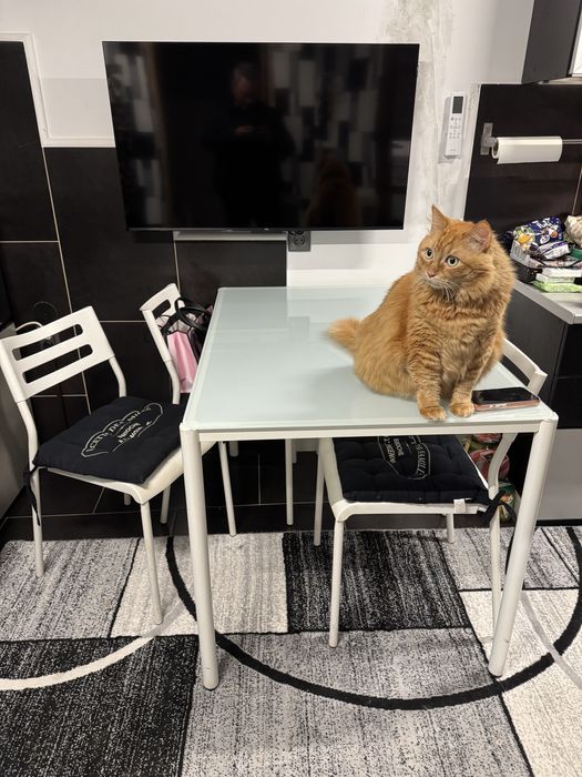 Masa sticla plus 4 scaune