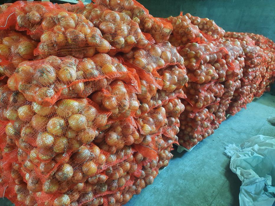 Ceapa romaneasca calitatea întâi