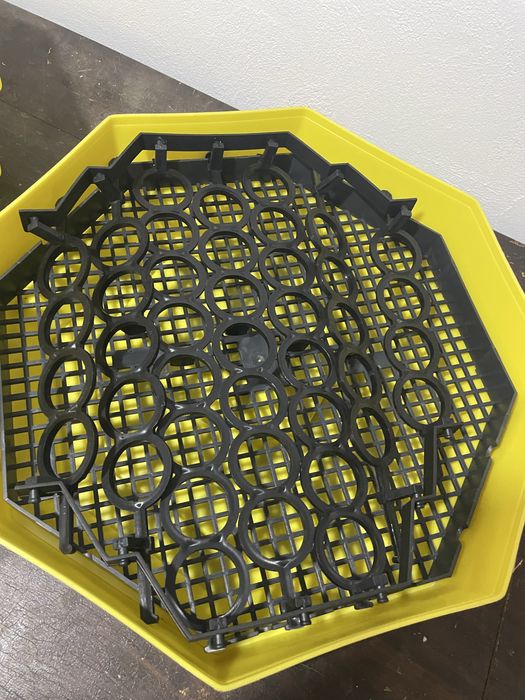 Incubator electric