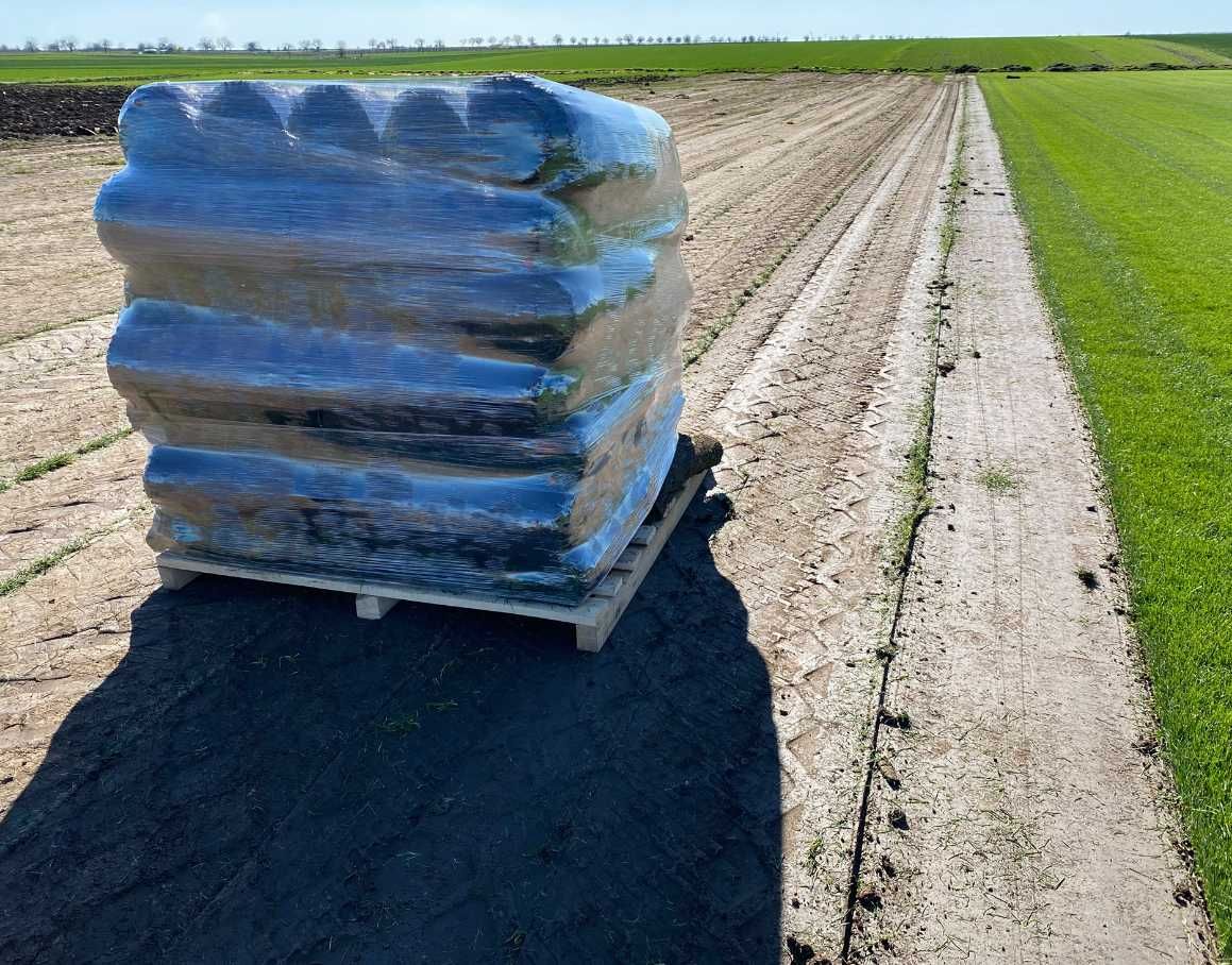 Gazon Rulou Premium – Amenajare Completă la Cheie
