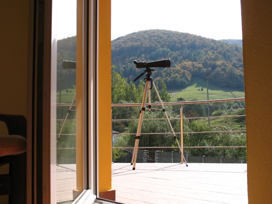 Afacere la Cheie Muntii Apuseni. Pensiune Confort*** Business For Sale