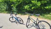 Bicicleta  adulti și copii