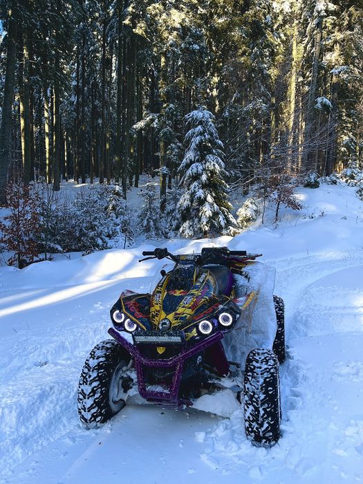 Can am renegade 800R