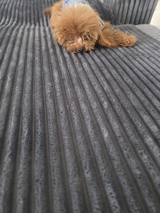 Тийкъп момиче на 1 година