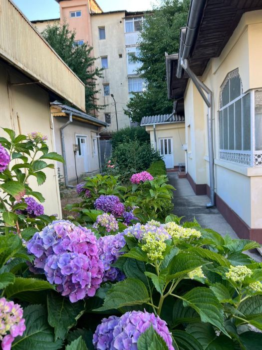 Casa de vanzare Str. Radu cel Mare, nr. 17
