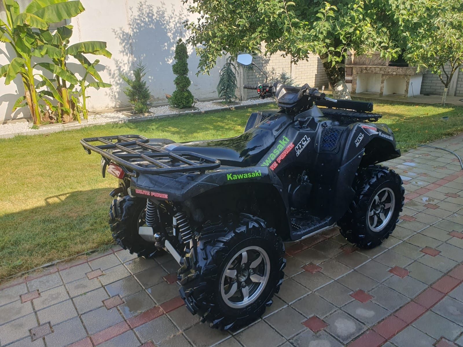 Kawasaky brute force 750