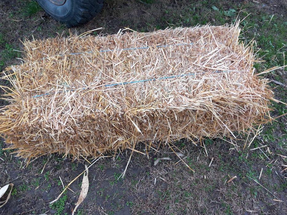 Baloti de paie de vanzare