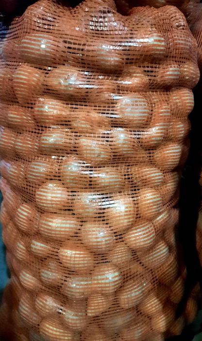 Реализуем картофель продовольственный сорт Гала