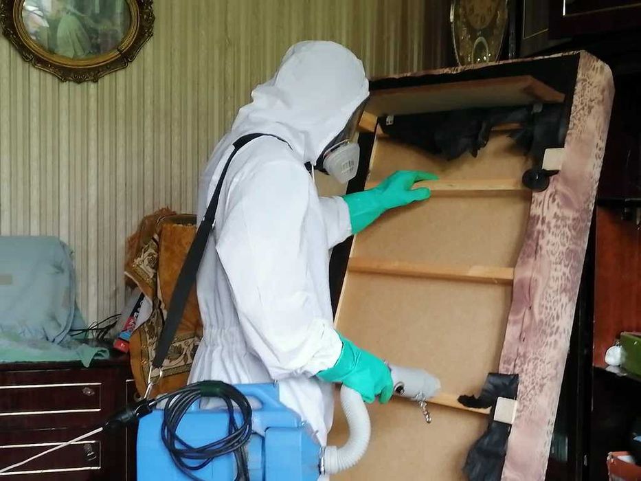 Профессиональное уничтожение насекомых и грызунов | С гарантией