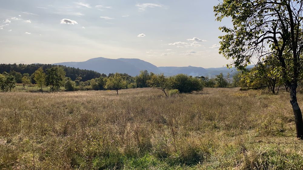 Teren Intravilan plus teren agricol în Hărțăgani peisaj frumos