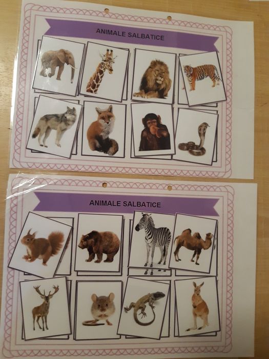 Dosar planșe activități asocieri-potriviri,învătarea animale,culori