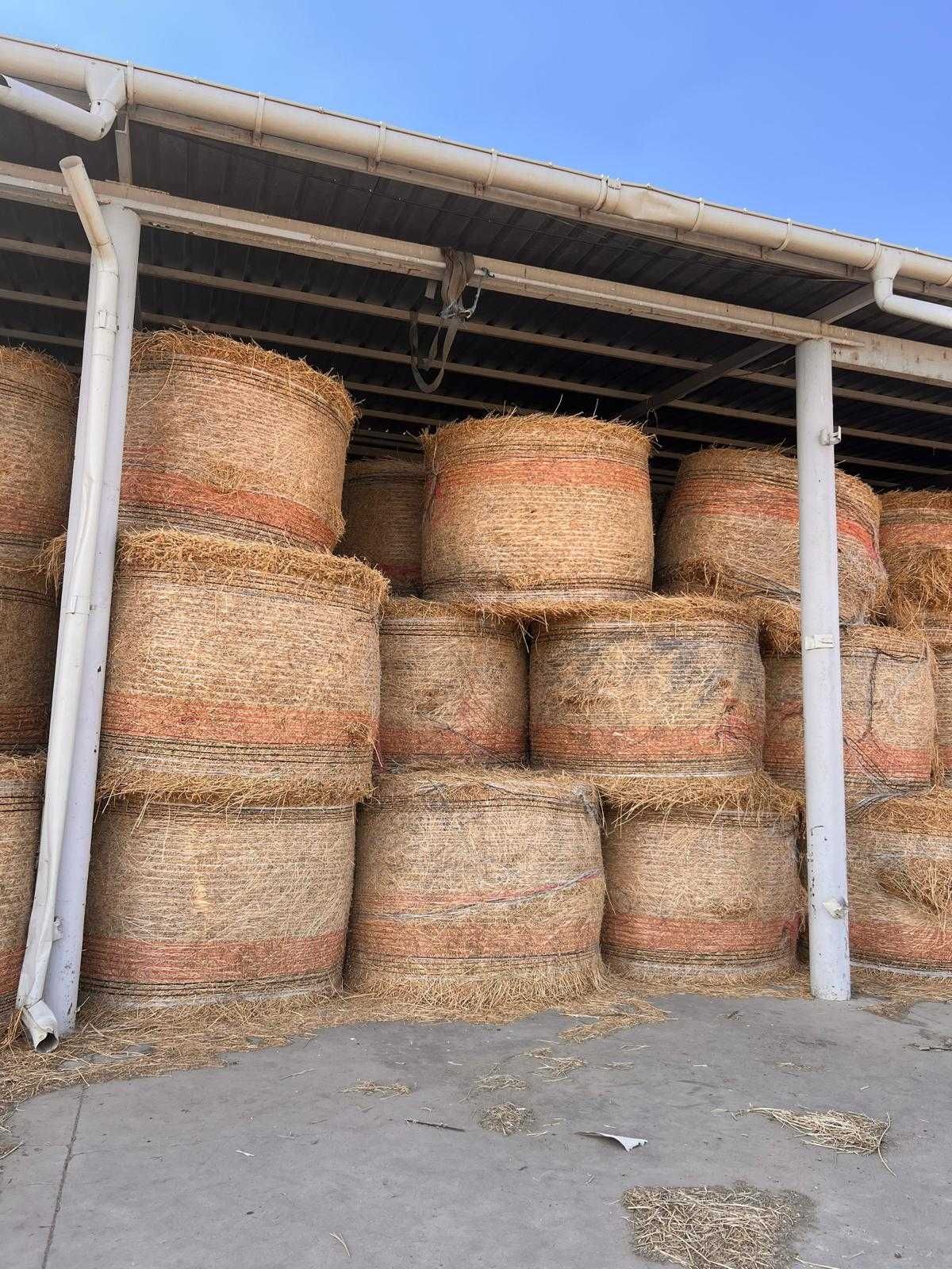 Lucerna baloti rotunzi 150x120