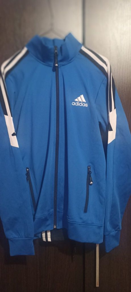 Trening Adidas albastru