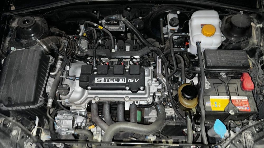 2022 кора наварот