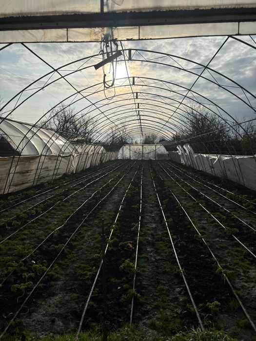 Solar 600 mp cadru metalic dublu