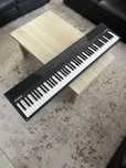 Pian Alesis Recital