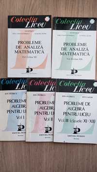 Culegeri de matematica pt liceu si facultate