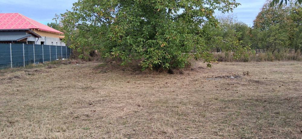 Teren intravilan 835 mp , zona linistita