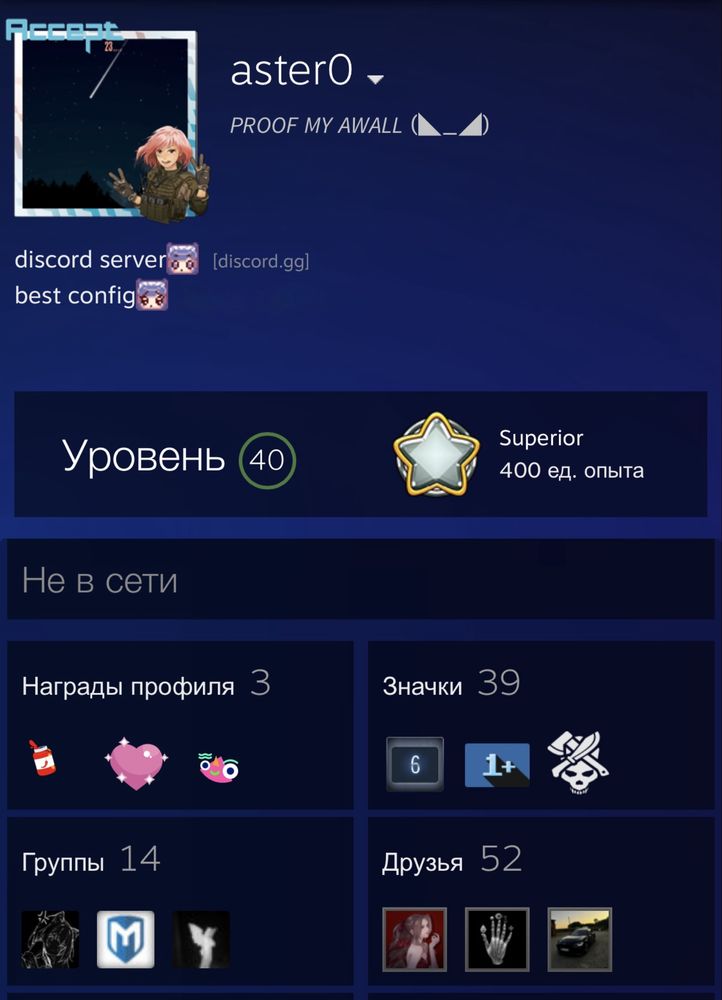 Cs go account prime 40lvl личный + дорогие скины